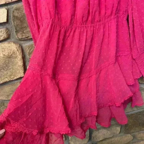 Allison Women's Mini Dress Hot Pink Swiss dot long sleeve ruffles sheer large - Picture 7 of 16
